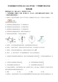 [物理][期中]四川省泸州市泸县普通高中共同体2023～2024学年高一下学期期中联合考试物理试题(有答案)