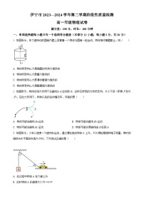 新疆维吾尔自治区伊宁市2023-2024学年高一下学期期中考试物理试题（原卷版）