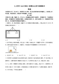 北京市人大附中2024-2025学年高三上学期暑假返校开学考试物理试题（原卷版+解析版）