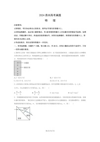 [物理]2024贵州高考真题物理试卷及答案