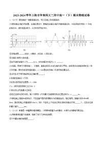 2023-2024学年上海市华东师大二附中高一（下）期末物理试卷（含解析）