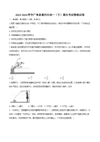 2023-2024学年广东省惠州市高一（下）期末考试物理试卷（含答案）