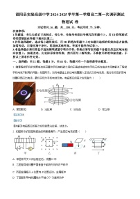 江苏省宿迁市泗阳县实验高级中学2024-2025学年高二上学期开学考试物理试题（解析版）