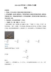 河南省安阳市林州市第一中学2024-2025学年高二上学期8月月考物理试题（解析版）