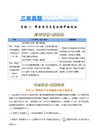 三年（2022-2024）高考物理真题分类汇编（全国通用）专题24带电粒子在复合场中的运动（原卷版）