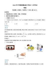 湖南省长沙市岳麓实验中学2024-2025学年高二上学期开学考试物理试题（解析版）