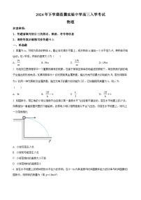 湖南省长沙市岳麓实验中学2024-2025学年高三上学期开学物理试题（原卷版）