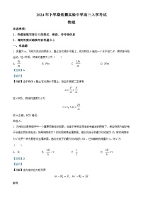 湖南省长沙市岳麓实验中学2024-2025学年高三上学期开学物理试题（解析版）