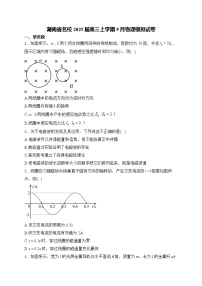 湖南省名校2024-2025学年高三上学期9月月考物理试题（Word版附解析）