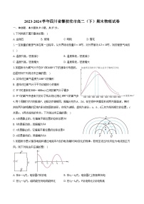 2023-2024学年四川省攀枝花市高二（下）期末物理试卷（含解析）