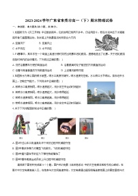 2023-2024学年广东省东莞市高一（下）期末物理试卷（含解析）