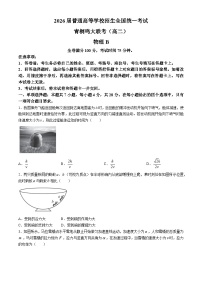 河南省青桐鸣2024-2025学年高二上学期开学联考物理试题