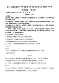 2025届湖北省黄冈中学等新高考联考协作体高三上学期开学考试物理试题 （解析版）