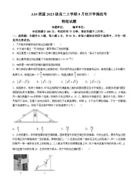 安徽省A10联盟2024-2025学年高二上学期9月初开学摸底考物理试题(无答案)