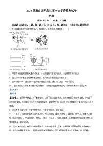 湖南省长沙麓山国际实验学校2024-2025学年高三上学期第一次学情检测物理试卷（Word版附解析）