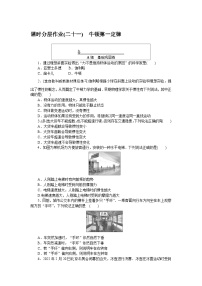 2024—2025高中物理必修1一轮复习课时分层作业(二十一)