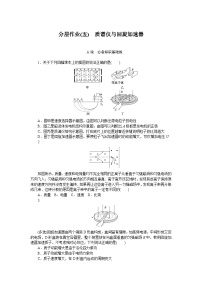 2024—2025高中物理选择性必修2一轮复习分层作业(五)