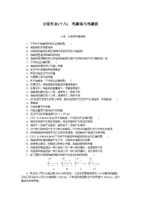 2024—2025高中物理选择性必修2一轮复习分层作业(十八)