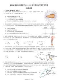 四川省成都市树德中学2024-2025学年高三上学期开学考试物理试卷（PDF版附答案）