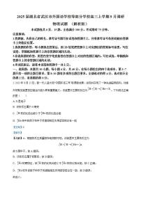 2025届湖北省武汉市外国语学校等部分学校高三上学期9月调研物理试题 （解析版）