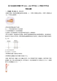 四川省成都市树德中学2024-2025学年高三上学期开学考试物理试题