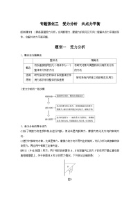 新高考物理一轮复习讲义 第2章 专题强化3 受力分析 共点力平衡
