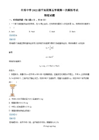 四川省德阳市什邡中学2024-2025学年高三上学期第一次模拟考试物理试题（Word版附解析）