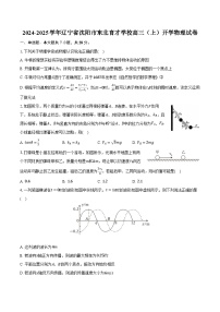 2024-2025学年辽宁省沈阳市东北育才学校高三（上）开学物理试卷（含解析）