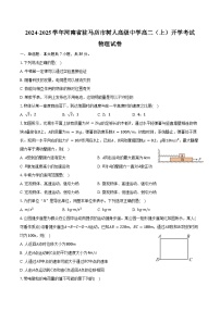 2024-2025学年河南省驻马店市树人高级中学高二（上）开学考试物理试卷（含答案）