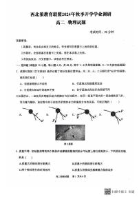 重庆市西北狼教育联盟2024-2025学年高二上学期开学考试物理试题