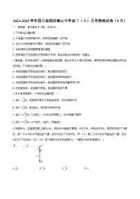 2024-2025学年四川省绵阳南山中学高二（上）月考物理试卷（9月）（含答案）