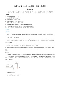 安徽省马鞍山市第二中学2024-2025学年高二上学期9月月考物理试卷（Word版附解析）