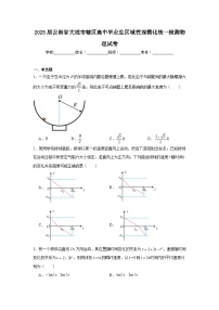 2025届云南省大理市辖区高中毕业生区域性规模化统一检测物理试卷