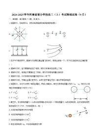 2024-2025学年河南省部分学校高二（上）考试物理试卷（9月）（含解析）