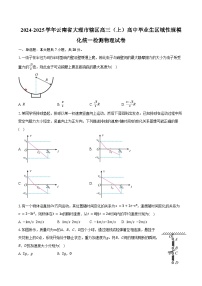 2024-2025学年云南省大理市辖区高三（上）高中毕业生区域性规模化统一检测物理试卷（含答案）