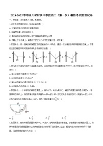 2024-2025学年四川省射洪中学校高三（第一次）模拟考试物理试卷（含答案）