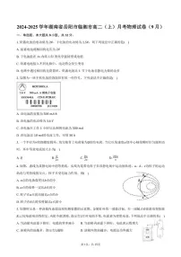 [物理]2024～2025学年湖南省岳阳市临湘市高二(上)月考试卷(9月)(有解析)