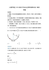 [物理]2025届云南省大理白族自治州大理市高三上学期模拟预测试题(解析版)