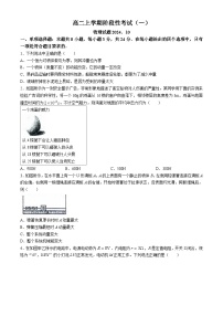 山东省泰安市宁阳县第一中学2024-2025学年高二上学期10月月考物理试题