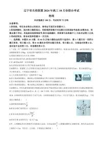 辽宁省名校联盟2024-2025学年高三上学期10月联考物理试卷(附参考答案)