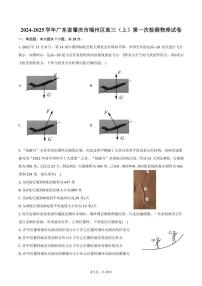 [物理]2024～2025学年广东省肇庆市端州区高三(上)第一次检测月考试卷(有答案)
