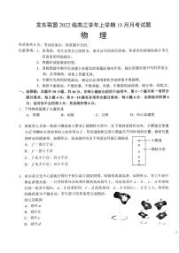 [物理]黑龙江省龙东联盟2024～2025学年高三上学期10月月考试卷(有答案)