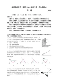 [物理]广东省深圳市高级中学2024～2025学年高三上学期第一次诊断测试(10月)试题(有解析)