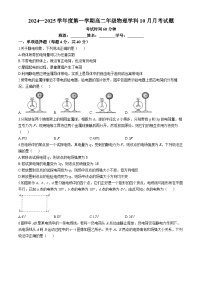 北京市海淀区北京理工大学附属中学2024-2025学年高二上学期10月月考物理试题