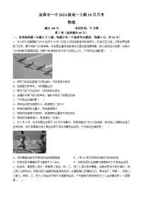 四川省宜宾市第一中学校2024-2025学年高一上学期10月月考物理试题