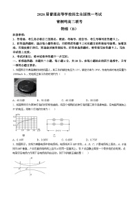 河南省十校2024-2025学年高二上学期10月月考物理试题