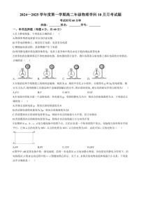 [物理]北京市海淀区北京理工大学附属中学2024～2025学年高二上学期10月月考试题(有答案)