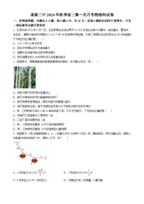 福建省泉州市四校联考2024-2025学年高三上学期10月月考物理试题(无答案)