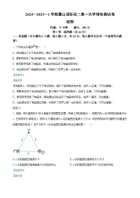 湖南省长沙市麓山国际实验学校2024-2025学年高二下学期第一次月考物理试题（Word版附解析）