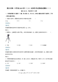 重庆市第一中学2024-2025学年高三适应性月考（一）物理试题（Word版附解析）